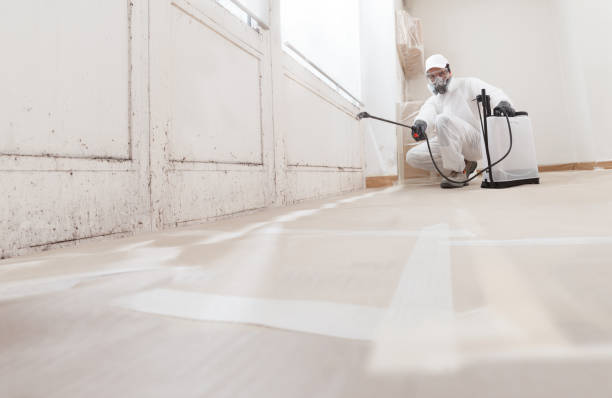 24/7 Emergency Basement Mold Removal experts in Hendersonville, TN